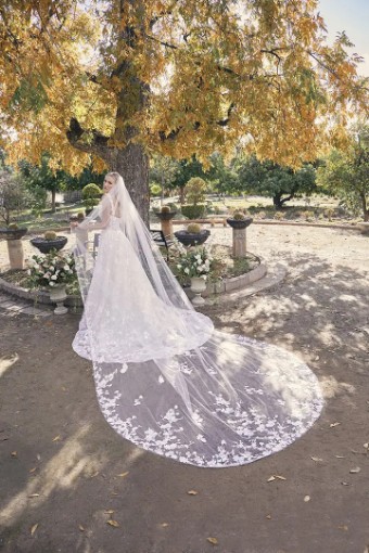 Casablanca Bridal CB - XANDER 2536 #3 Ivory/Nude/Sorbet thumbnail